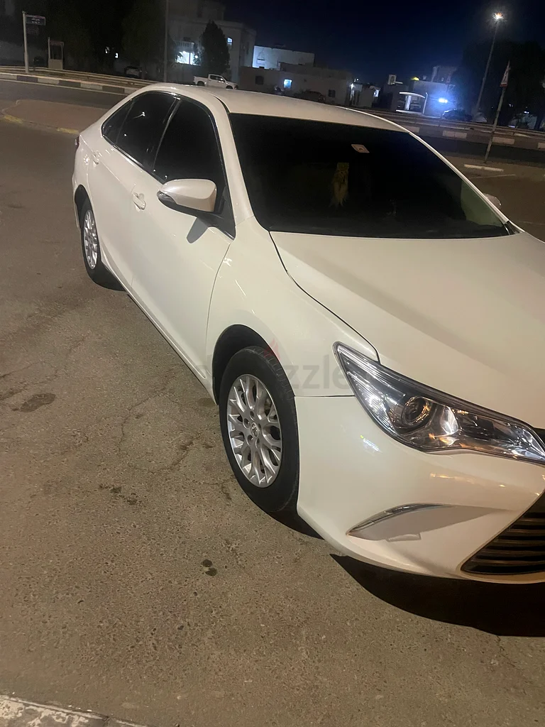 الشامخة63699049662339112