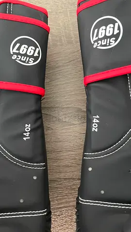 Limited Edition Boxing Gloves - Perfect for Training