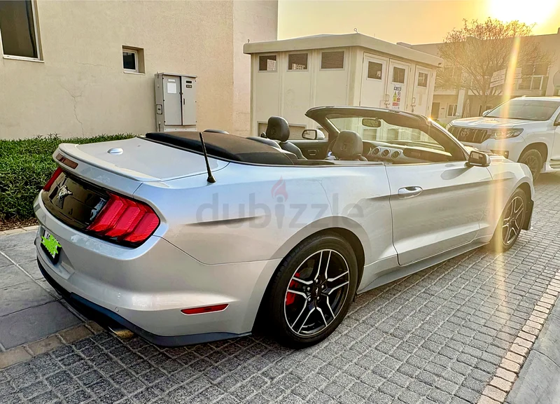 2019  Mustang  Convertible EcoBoost / Drop the Top, Own the Street63699041849474114