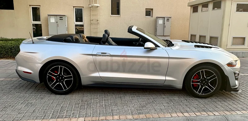2019  Mustang  Convertible EcoBoost / Drop the Top, Own the Street63699041849474113