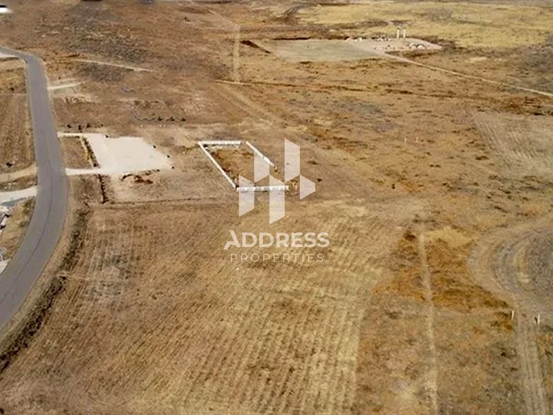 "Hot Deal! Industrial Plot in Al Saja’a at a Special Price per Sq.Ft – Directly on Al Qasimia Street."63820762990594113