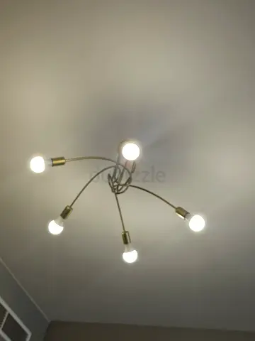 Modern Design Ceiling lamp for sale as relocating home.