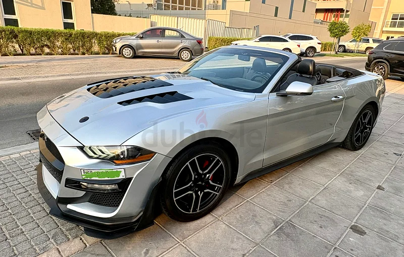 2019  Mustang  Convertible EcoBoost / Drop the Top, Own the Street63699041849474111