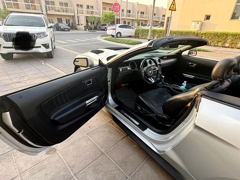 2019  Mustang  Convertible EcoBoost / Drop the Top, Own the Street63699041849474112