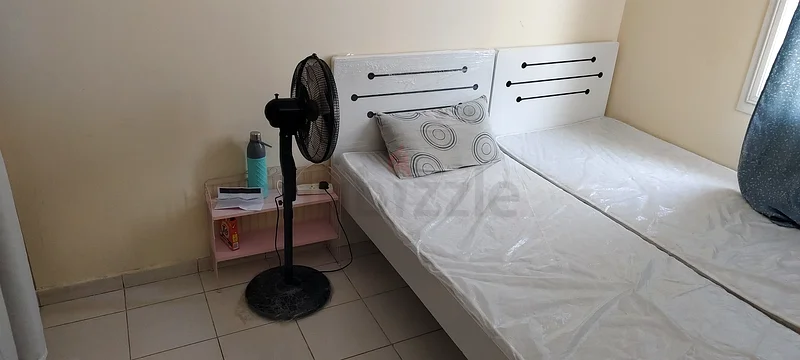 مرحبًا يا رفاق، لدي شقة مشتركة في الاستوديو63796580249346110