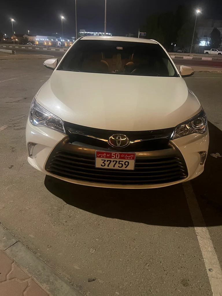 الشامخة63699049662339111