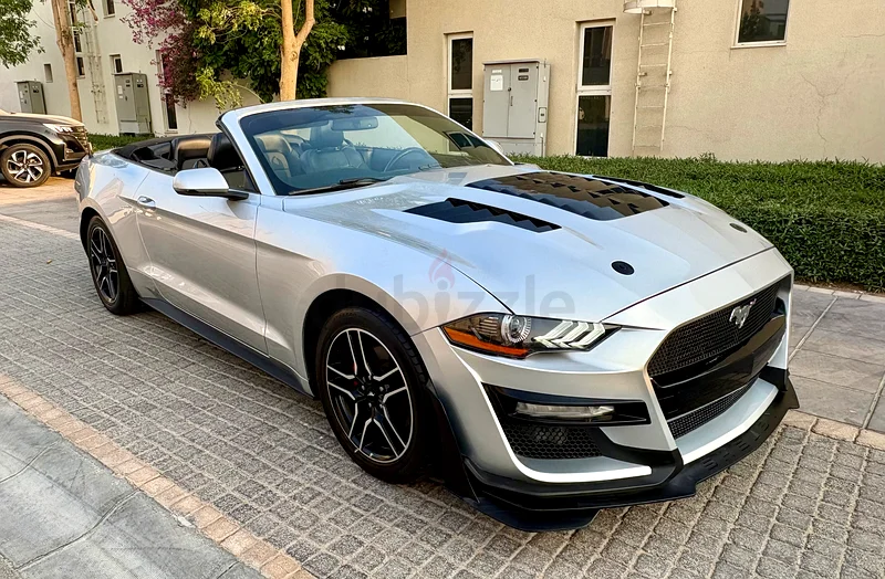 2019  Mustang  Convertible EcoBoost / Drop the Top, Own the Street63699041849474110
