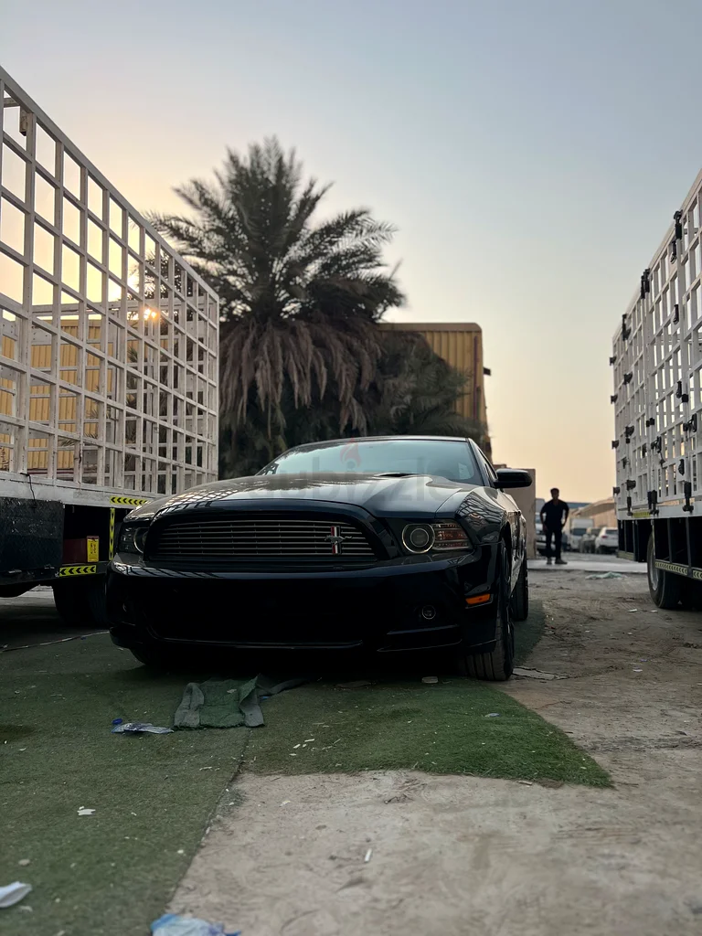 Ford Mustang 2013 GCC for Sale63699041474946113