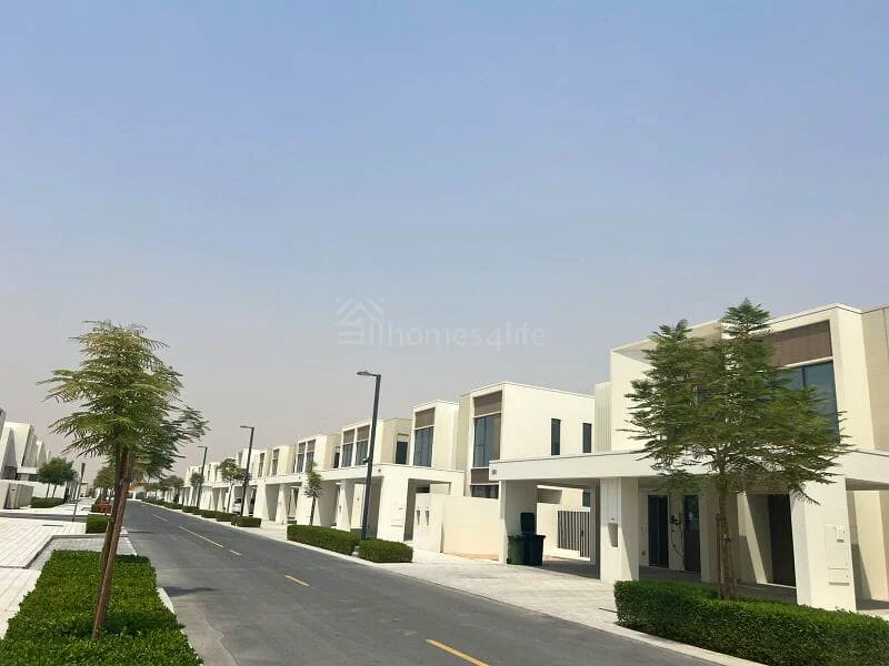 Single Row | Green Sikka | Near Pool63732391331714110