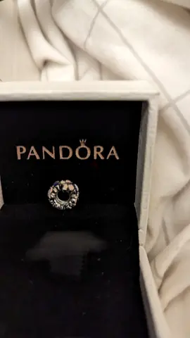Pandora charm