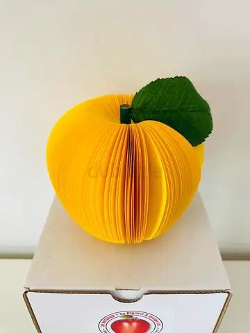 3D Apple Handmade Designer Notepad  Pencil BRAND NEW IN BOX