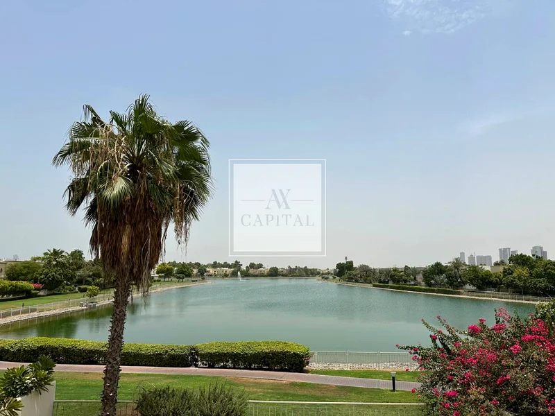 Deep Lake View | Rare Gem | Type 3E63923428441602110