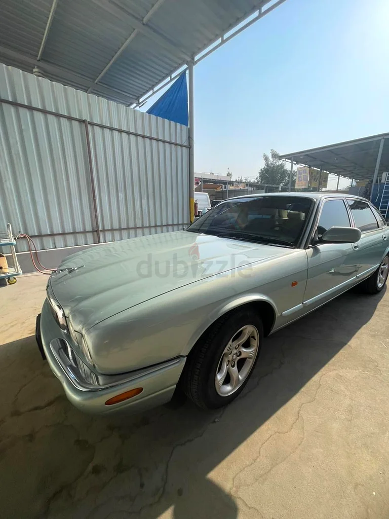 Full option v863699026680578110
