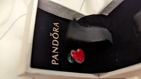 Pandora charm