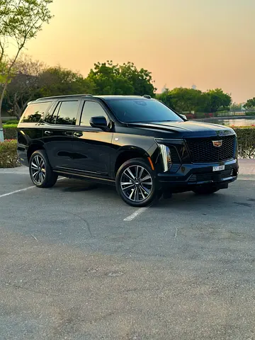 Free Delivery | Crypto Payment Available | 24/7 Customer Service | Summer Offer 25% Off