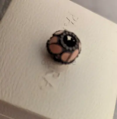 Pandora charm