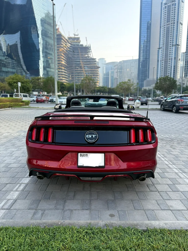 Mustang GT California GCC Convertible63699041756931114