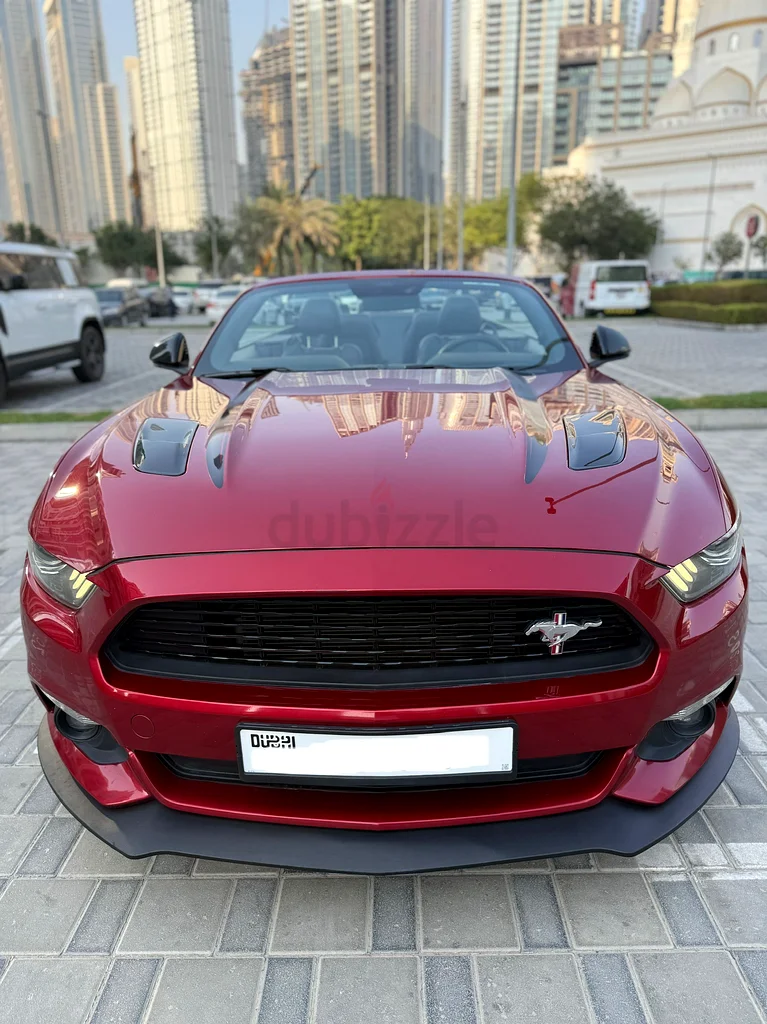 Mustang GT California GCC Convertible63699041756931111