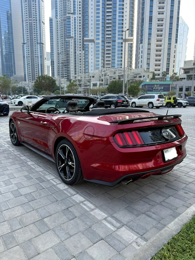 Mustang GT California GCC Convertible63699041756931113