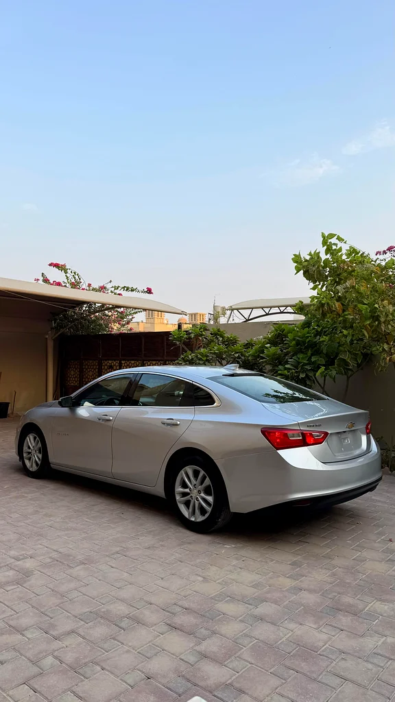 عجمان مويهات63699032062082113