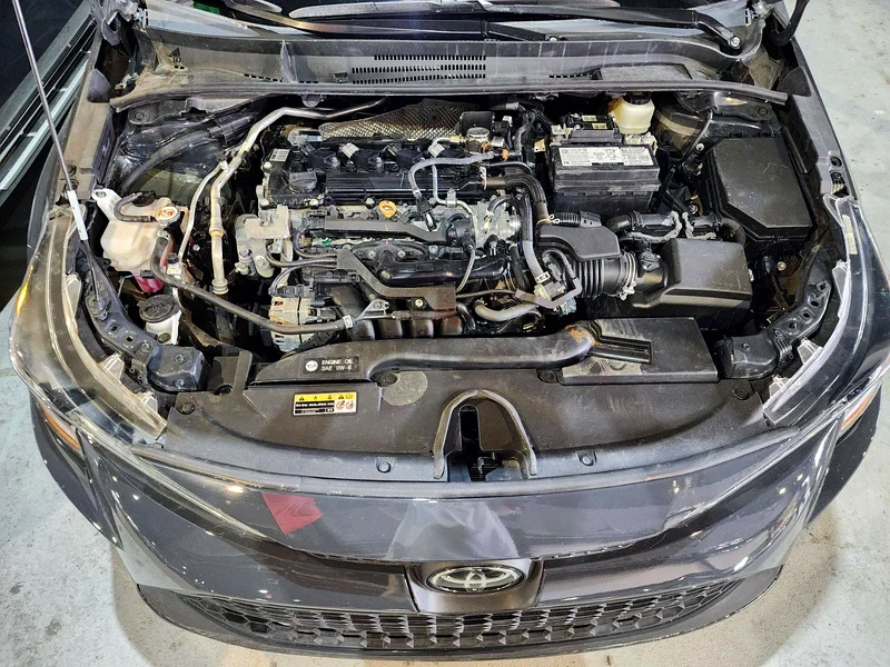 Toyota corolla 2025 LE63699050780803114