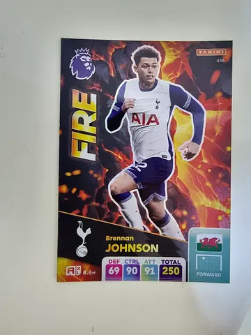 Brennan Johnson Limited Edition Football Card