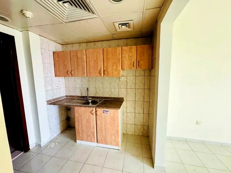 P-27, France Cluster, International City, Dubai63743034022017113