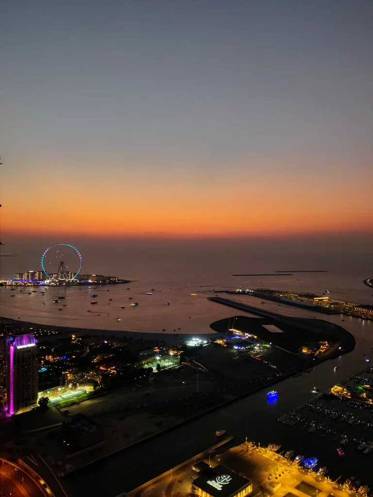 AMAZING PALM VIEW | HIGH FLORR63777235689218110