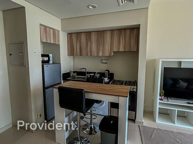 1 BR Furnished | Well Maintained | Available63738389469314114