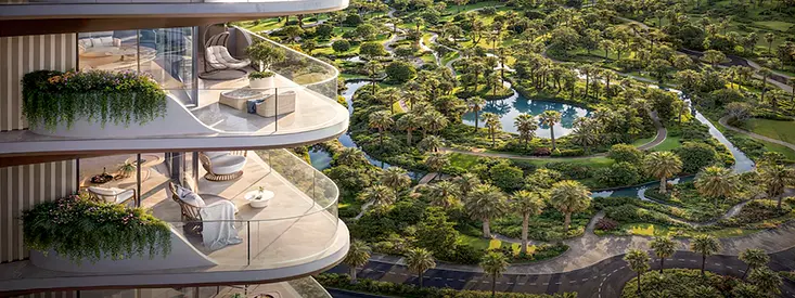 ذا فوريست ديستريكت