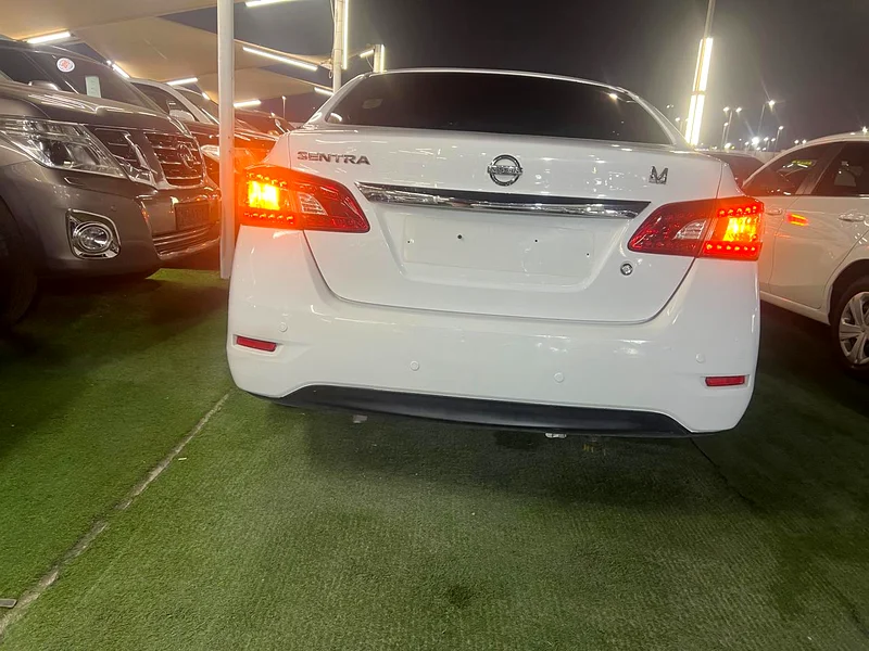 سوق الحراج الشارقة معرض الهامور 3663699056548353114