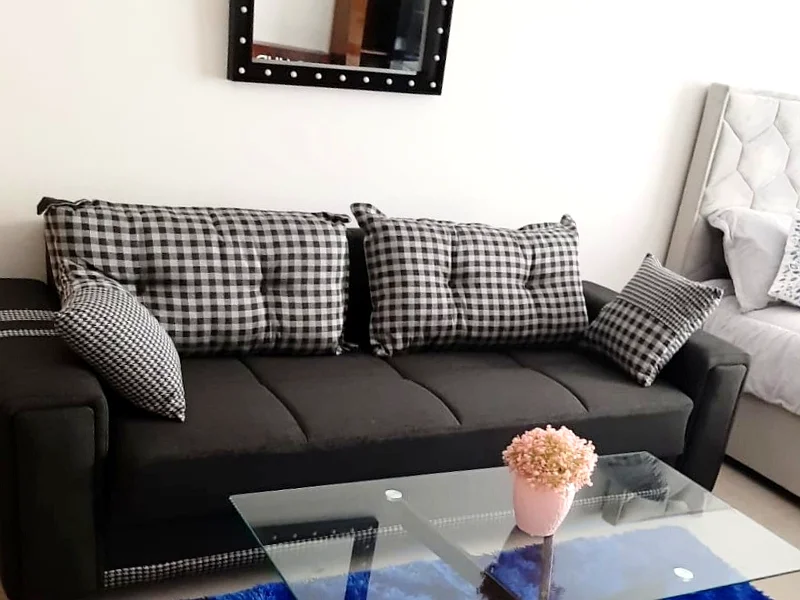 مستشفى Oppt Park View | مفروشة بالكامل | منزل ذكي63763977202690114