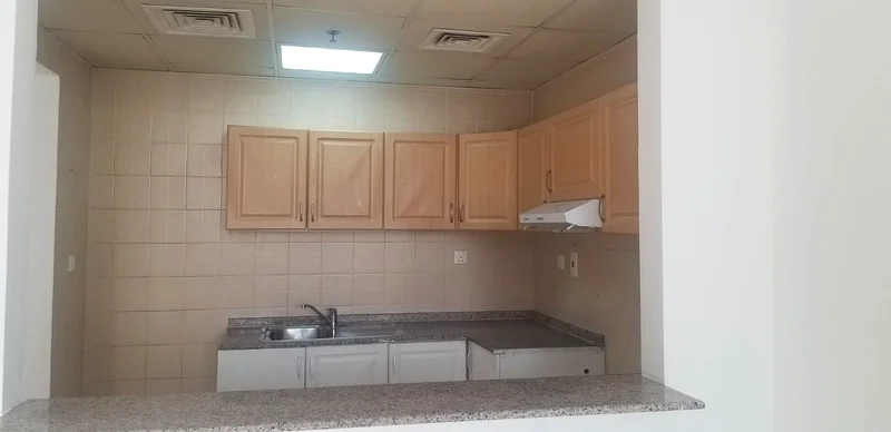 DIRECT FROM OWNER  LARGE  STUDIO FLAT SIZE 530SQF @ 500K63978244430722114