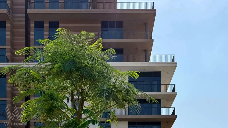The largest terrace in the building | Full Park View |Price Negotiable63948721579907114