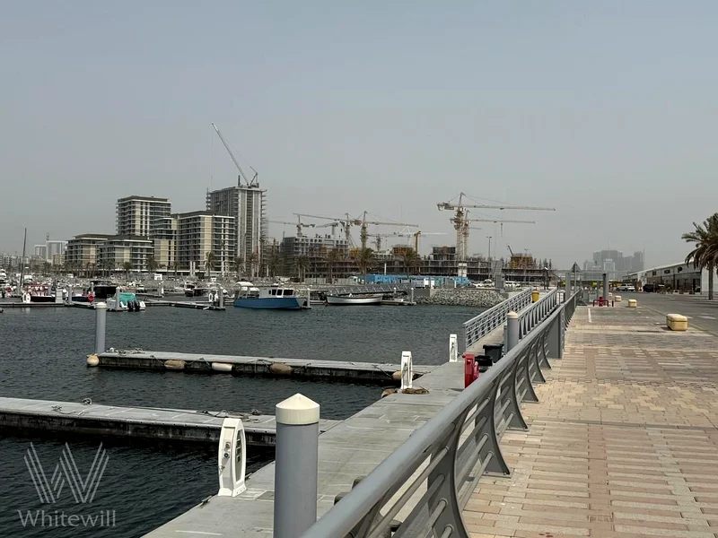 أفضل سعر بالقرب من OP | مجتمع EMAAR | صفقة استثمارية63937865456129110