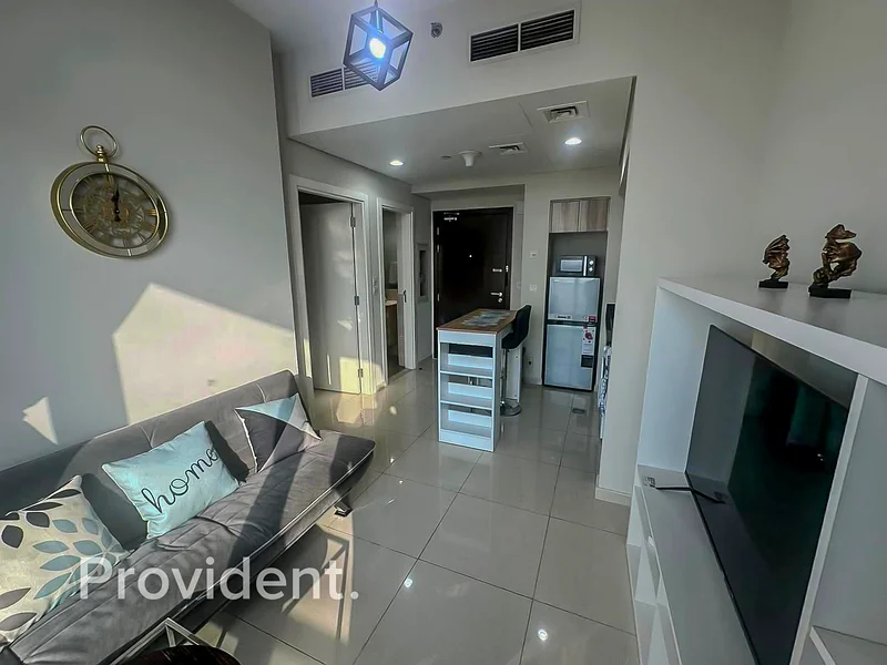 1 BR Furnished | Well Maintained | Available63738389469314113