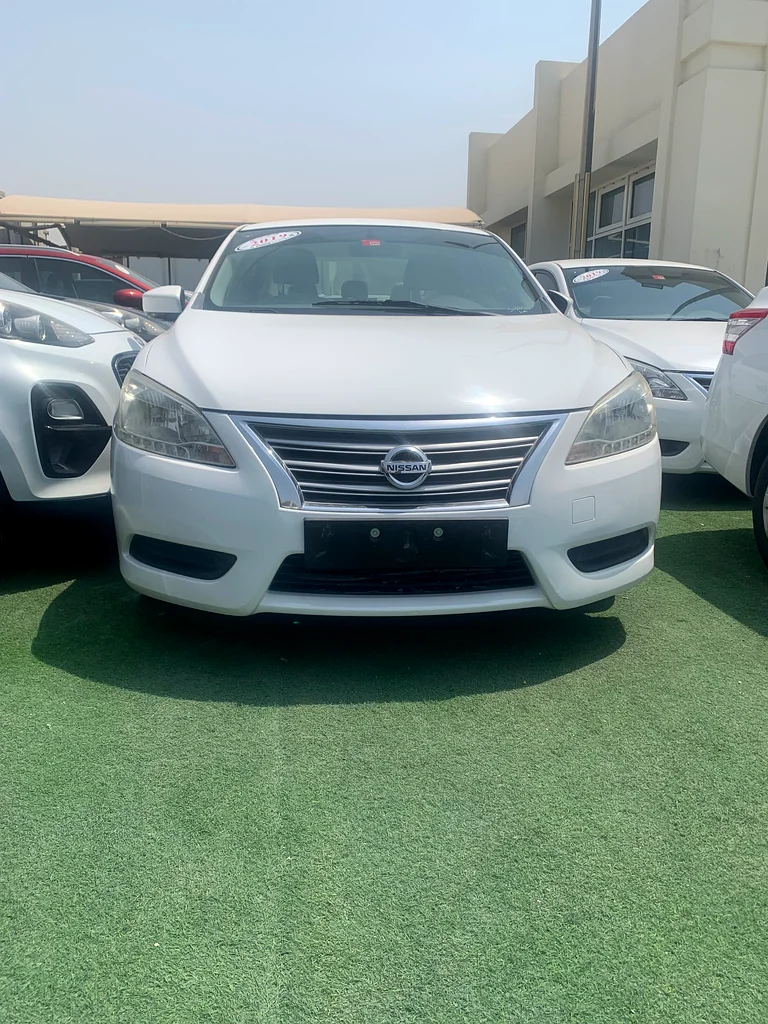 سوق الحراج الشارقة معرض الهامور 3663699056548353111