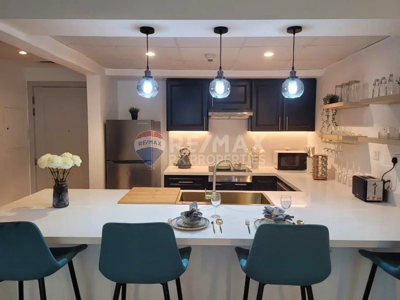 Fully Upgraded | Fully Furnished | Vacant63919101558274114