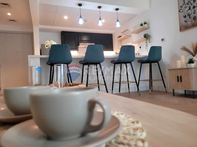 Fully Upgraded | Fully Furnished | Vacant63919101558274113