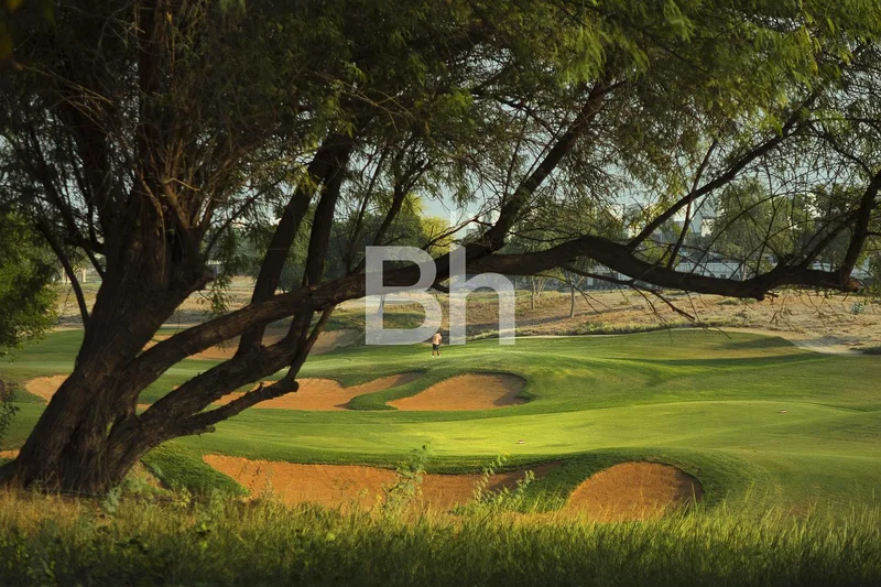 Renovation Potential | Full Golf View | South Facing63926733953026110