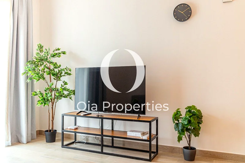 Upgraded 1BR | Fully Furnished | Open View63849119318275114