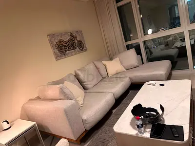 Wést Elm New pórt Modern and Stylish Living Room Sofa Set