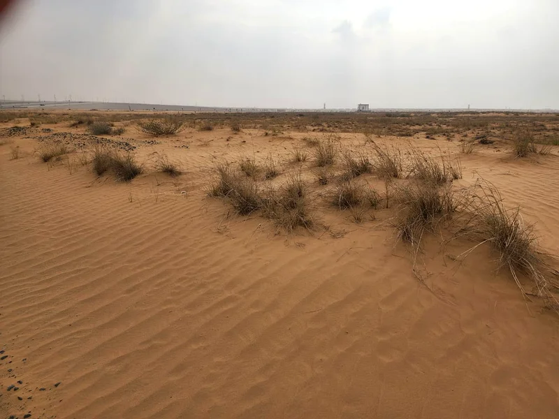 Industrial corner  plot ( Only local and GCC )  Al Sajaa – Sharjah   Plot size 8073 sq ft63820666793218110