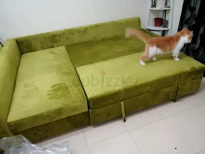 SOFA BED AVAILABLE