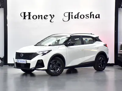 Official Dealer Warranty / Free Registration / 0% DP -  GAC GS3 EMZOOM 1.5L ( 2026 Model ) GCC Specs