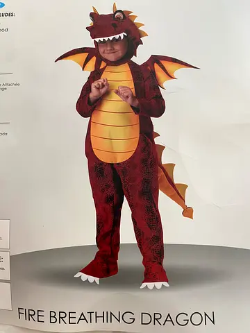 Dragon Costume