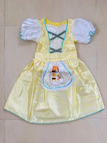 Goldilocks Costume LIKE NEW