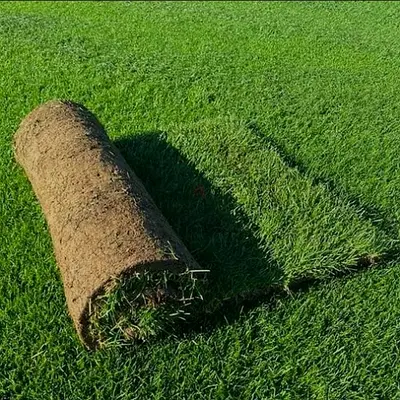 Natural Grass Roll - Perfect for Your Lawn