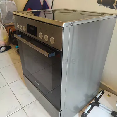 Electric gas stove
