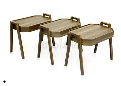 Set of 3 Stylish Wooden Accent Tables